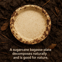 Assiette en bagasse de 9 pouces, vaisselle jetable écologique, certifiée FDA LFGB, imperméable, 100 % ° Résistant à la chaleur pour les aliments en vrac