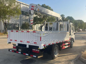 Grue montée sur camion léger 4t 4x2, mini-grue de levage pour travaux municipaux - Product Image 6