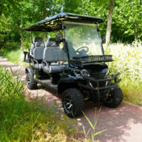Voiturette de golf électrique 6 places, grand espace, carrosserie étanche, longue autonomie 70-90 km, certifiée CE, pour le tourisme