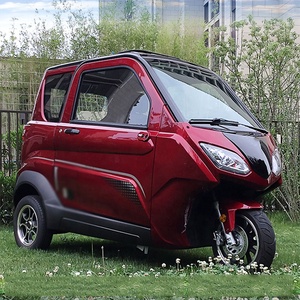 Tricycle Électrique à <span class=keywords><strong>Bas</strong></span> Prix pour Personnes Âgées, Pièces de Moteur 1200W 2000W 3000W, Remorques Électriques pour Tricycles, Essieu Arrière, Pédicab - Product Image 1
