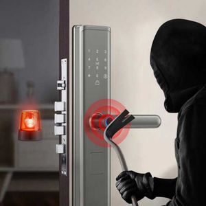 Ev Kapısı Kapı Zili Kolu Düğmesi Dijital Anahtar Kartı Biyometri Parmak İzi TTLock Tuya Uygulaması Elektronik Akıllı Kapı Kilidi Üreticisi - Product Image 5