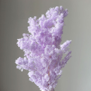 Décorations de mariage bohèmes florales, fleurs séchées blanches de gypsophile, bouquet de fleurs séchées naturelles, plantes à vendre - Product Image 3