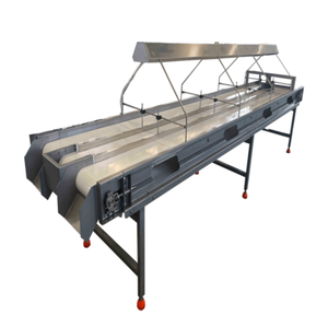 Sebze ve Meyve Seçme Konveyörü, Lambalı Kontrol Masası Konveyörü, LED Işıklı Konveyör - Product Image 5