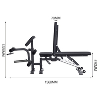 Banc de musculation multifonctionnel réglable, chaise de pasteur, équipement d'exercice pour hommes, banc pour sit-ups et press de poitrine