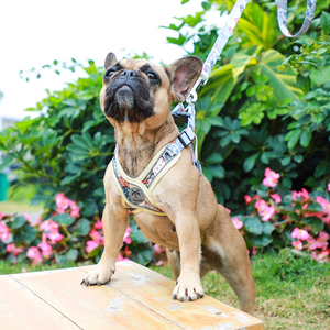 Venta al por mayor de lujo ajustable reflectante de seguridad transpirable <span class=keywords><strong>Sexy</strong></span> diseñador paso en mascota chaleco perro arnés y correa conjunto - Product Image 6