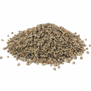 Top Tier Quality Organic <b>Millet</b> Grains CNTH Brand 100% Natural Non-GMO Fresh Harvest Bulk Supply 25kg/50kg for Exporters - Product Image 6