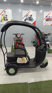 Triciclo Urbano de Ocio 2024 al por Mayor de Fábrica, con Motor de 500W/800W, Batería de Plomo-ácido de 48V y Dos Filas de Asientos - Product Image 2