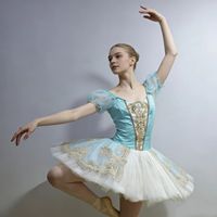 Nouveaux costumes de ballet classique professionnels pour adultes et filles, en soie/tulle rigide/spandex, précommande, personnalisation