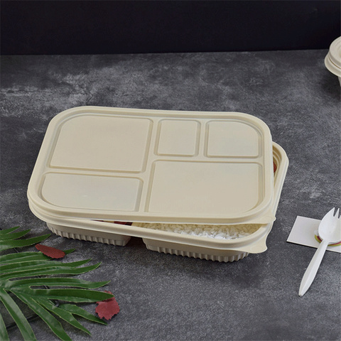 Container Lunch Box Set Insulated Bento Salad Packaging Transparent Food Rou