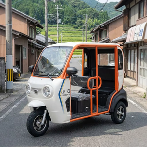Tricycle Électrique Mini 2026 60V avec Porte-Bagages/Toit, Véhicule Électrique Domestique à Basse Vitesse pour le Transport de Marchandises, Vente Chaude au Japon - Product Image 1