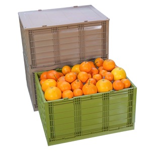 Custom Plastic Pallet Crate Bake Food Transport Collapsible Plastic Container