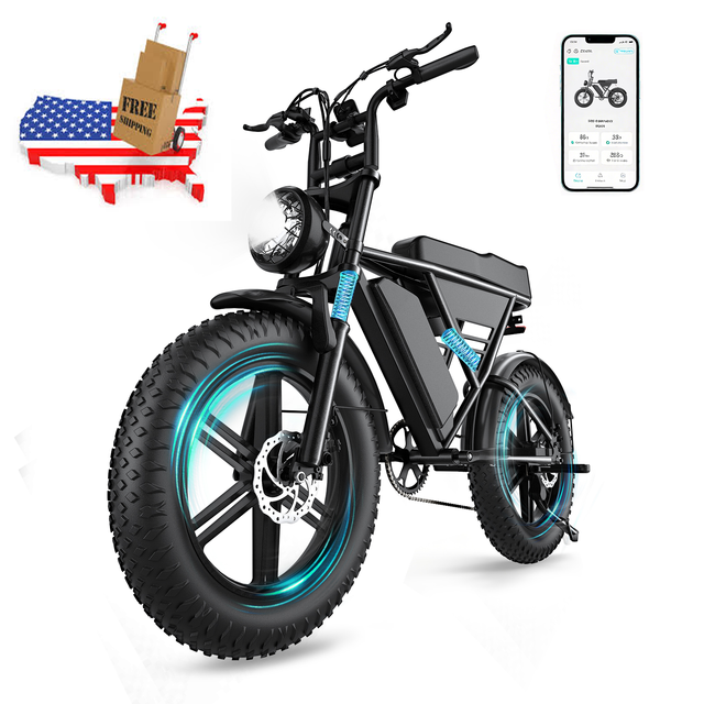 Free Shipping US Warehouse Ready Stock Electric Bike 1000W 48V 20Ah 20*4Inch Fat Tire Mountain Road US Popular E-bike Long Range