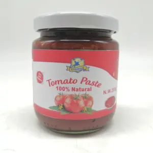 Venda quente Thomas Brand com OEM serviço pomo tomate pasta 250g