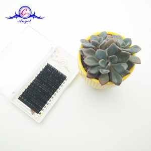 En Vrac individuels Extension De Cils Cheveux Synthétiques En Vrac D Curl Extension De Cils avec <span class=keywords><strong>la</strong></span> Vente En Gros - Product Image 6