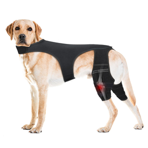 Dog <b>Knee</b> <b>Brace</b> Legs <b>Support</b> Wraps for Elderly Dogs Torn ACL Joint Luxating Patella Compression Wrap Adjustable Pet <b>Knee</b> <b>Brace</b> - Product Image 1