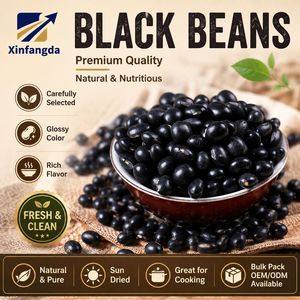Fagioli di <span class=keywords><strong>Soia</strong></span> Neri di Qualità Premium, Chicchi Interi Puliti per Latte di <span class=keywords><strong>Soia</strong></span>, Tofu e Lavorazione Alimentare, Fornitore all'Ingrosso dalla Cina - Product Image 1