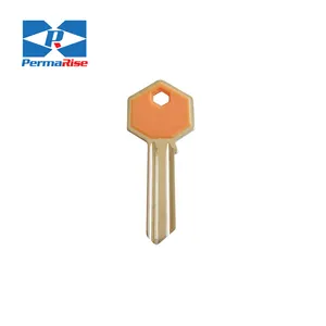 Großhandel einzigartige benutzer definierte leere Schlüssel Hersteller Everise Messing Designer ul050 Schlüssel rohlinge mit Kunststoff kopf