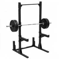 Mini-rack de musculation personnalisable en acier inoxydable – Cadre d'entraînement multifonctionnel pour triceps et entraînement de force du corps entier