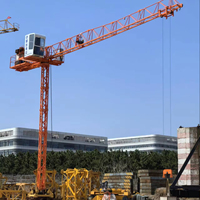Mini-grue de chantier 1T 10M à flèche sans tête et plate, avec boîte de vitesses motorisée, commande électrique, télécommande, joystick et caméra CCTV