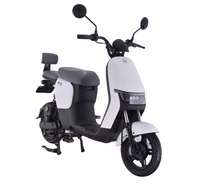 Pedal dewasa skuter listrik Penjualan Terbaik Eropa membantu 48V 500W 1000W e sepeda motor sepeda kumbang EEC