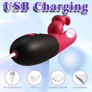 Libo Passion أرنب الكبار هزاز الإناث هزة الجماع التدفئة المهبل دسار مربع قطعة أثرية للنساء ألعاب الجنس الاستمناء - Product Image 5