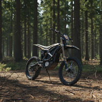 Vélo électrique SURRON 74V ultra Bee, vélo de route électrique ultra Bee surron, vélo électrique homologué pour la route, adulte, 24500w, Ebike Sur Ron, moto tout-terrain