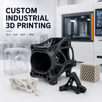 Service d'impression 3D SLS, pièces industrielles flexibles en nylon PA12 et TPU haute résistance, 5-7 jours