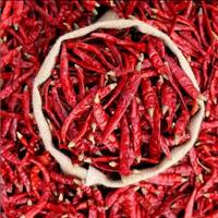 Bumbu Makanan Cabai Merah Kering Utuh Sedikit Pedas Pasokan Grosir Kemasan 25kg Sichuan Cina Dikeringkan dengan Sinar Matahari