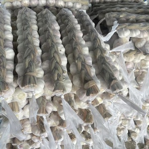 Aglio Fresco di Alta Qualità a Prezzo all'Ingrosso, Aglio Fresco Viola/Rosso/Bianco Naturale a Basso Costo - Product Image 3