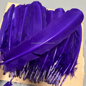 Bán Buôn 25-30 Cm Thổ Nhĩ Kỳ Quill Lông Cho Carnaval Samba Khiêu Vũ Trang Phục Mũ Ba Lô - Product Image 3