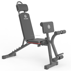 Équipement d'entraînement de force multifonctionnel 2026 en promotion : banc de musculation avec réglage de la hauteur sur 3 niveaux - Product Image 1
