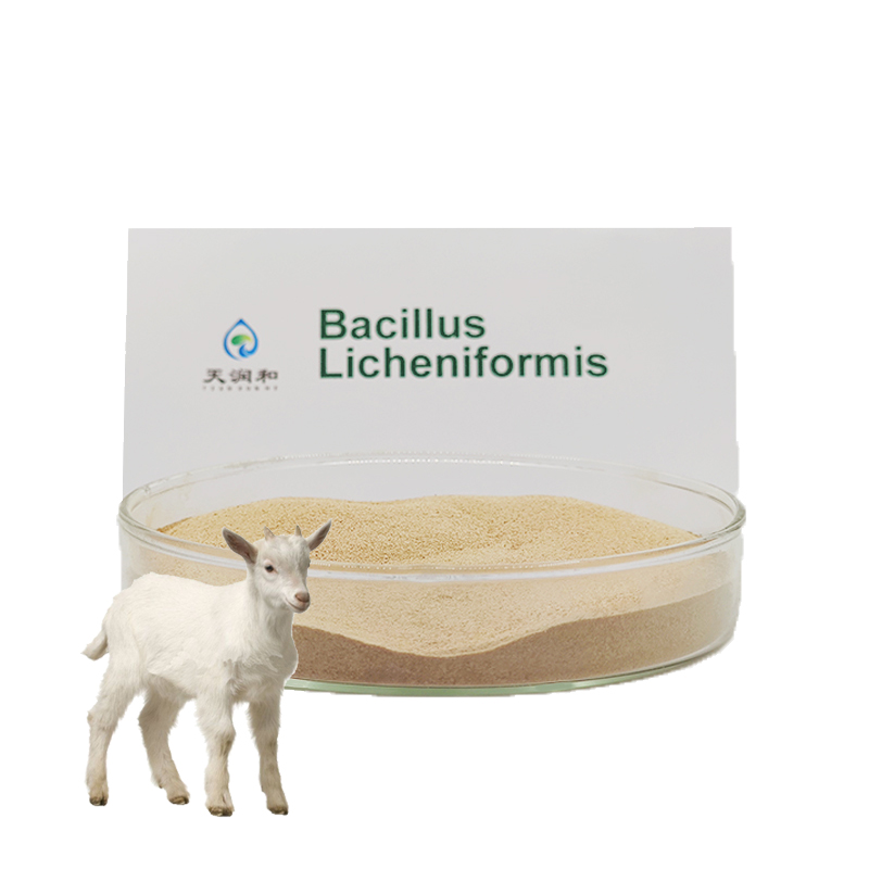 Пробиотики, объемная кормовая добавка, полезные бактерии для аквакультуры