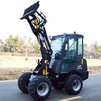Minicargadora W1160 al por mayor con bomba de pistones Rexroth y motor Kubota, cargadora compacta para trabajos de construcción ligera 2.6T
