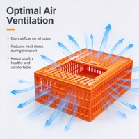 Caisse de transport robuste personnalisée pour dindes et cailles, cage en plastique pour volailles vivantes