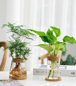 Fournitures d'usine bon marché grand cylindre de maison décorations de mariage nordiques modernes <span class=keywords><strong>Vase</strong></span> de fleur en verre Borosilicate transparent avec liège - Product Image 6