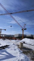 Grue à tour oscillante QTD63-HS4015D pour la construction