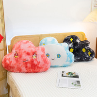 Coussin et oreiller en peluche super doux brodés, garnis de coton PP, doublés de maille, anti-stress, pour la décoration, design Kawaii
