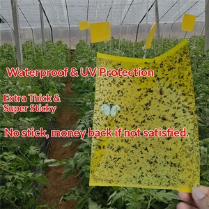 Pièges collants en gel PP imperméables bleus/jaunes de 8*10 pouces pour la lutte antiparasitaire contre les moustiques - Product Image 2