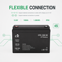 Batterie LiFePO4 LFP CFE-1280 SE 12,8V 100Ah avec BMS IP65, 3000 cycles, pour onduleur FoxESS, systèmes solaires hors réseau