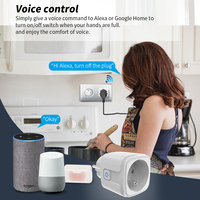 Prise intelligente SIXWGH Tuya FR 16A avec adaptateur WIFI 2.4G / 5G 6, contrôle de la consommation électrique, prise intelligente compatible avec Google Home Alexa