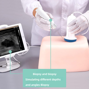 Fantomma per biopsia ecografica addominale, blocco di tessuto bersaglio cistoso multi-misura per l'allenamento al drenaggio e alla biopsia con ago - Product Image 3