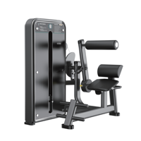Machines réglables d'entraînement d'exercice de musculation pour bras de poitrine Entraîneur d'extension de dos de plaque d'acier de gymnastique commerciale personnalisable