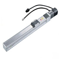 Módulo Lineal con Motor de Accionamiento por Husillo de Bolas de Precisión de 0.01mm, Construcción de Aleación de Aluminio, Carrera Personalizable, Plataforma Deslizante Lineal para