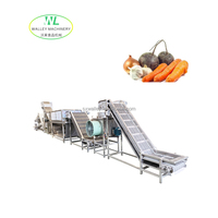 China verwerkingslijn roestvrijstalen commerciële voedseldroogmachine voor fruitfabriek, inclusief after-sales ondersteuning voor apparatuur