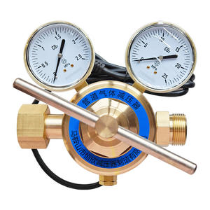 Régulateur de pression de CO2 à deux étages YQTG-286 fourni par l'usine, chauffage électrique au dioxyde de carbone, collecteur de tuyauterie, réduit la pression - Product Image 1