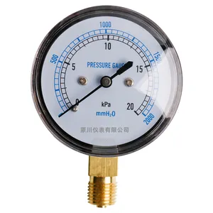 YE-60 Pengukur Tekanan Murah OEM Buatan Tiongkok Bourdon Tube Pressure Gauge