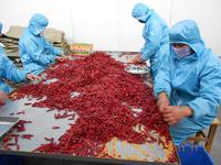 Piment rouge moulu de haute qualité sans couleur artificielle pour la vente en gros de piment de Cayenne