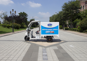 Triciclo Eléctrico Refrigerado para Entrega <span class=keywords><strong>de</strong></span> <span class=keywords><strong>Helados</strong></span>, Transporte <span class=keywords><strong>de</strong></span> Alimentos Congelados, Triciclo Eléctrico para Adultos con Caja Refrigeradora - Product Image 2