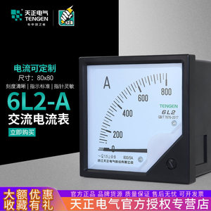 Amperímetro Analógico Tengen 6L2 800/5A CA Clase 1.5 para Panel - Product Image 2