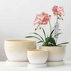 Pot <span class=keywords><strong>de</strong></span> fleurs en céramique pour tulipes, plumerias et succulentes - Grande taille <span class=keywords><strong>haut</strong></span> <span class=keywords><strong>de</strong></span> <span class=keywords><strong>gamme</strong></span> avec plateau - Offre spéciale liquidation - Product Image 1